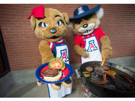 Off-campus housing photo featuring friendly Wildcat mascots