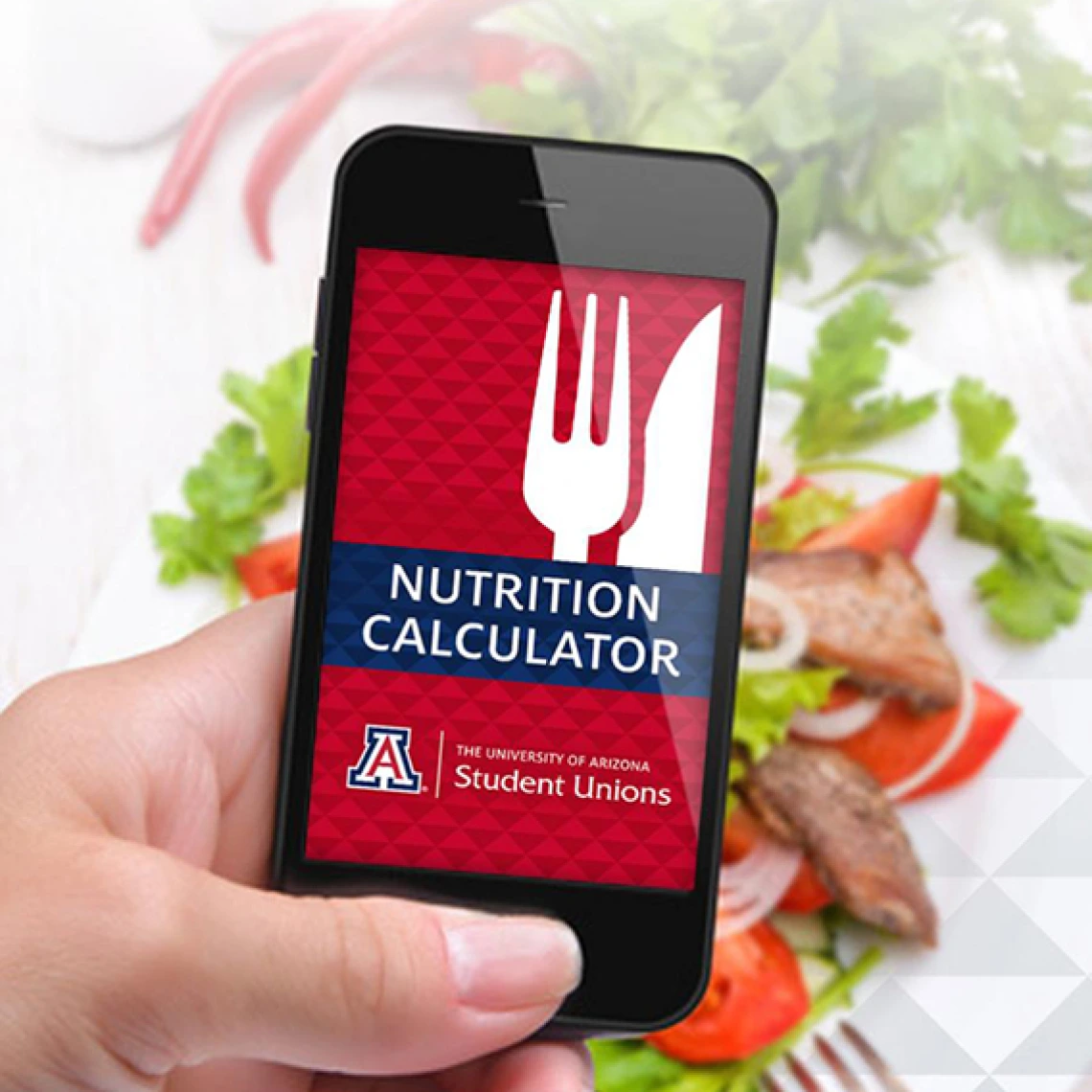 Arizona Nutrition app on plastic phone above overdone steak