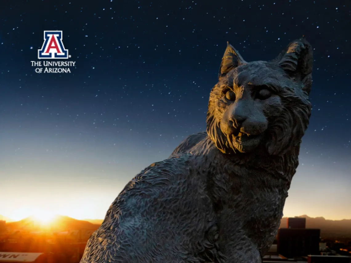 Giant stone statue of a Wildcat