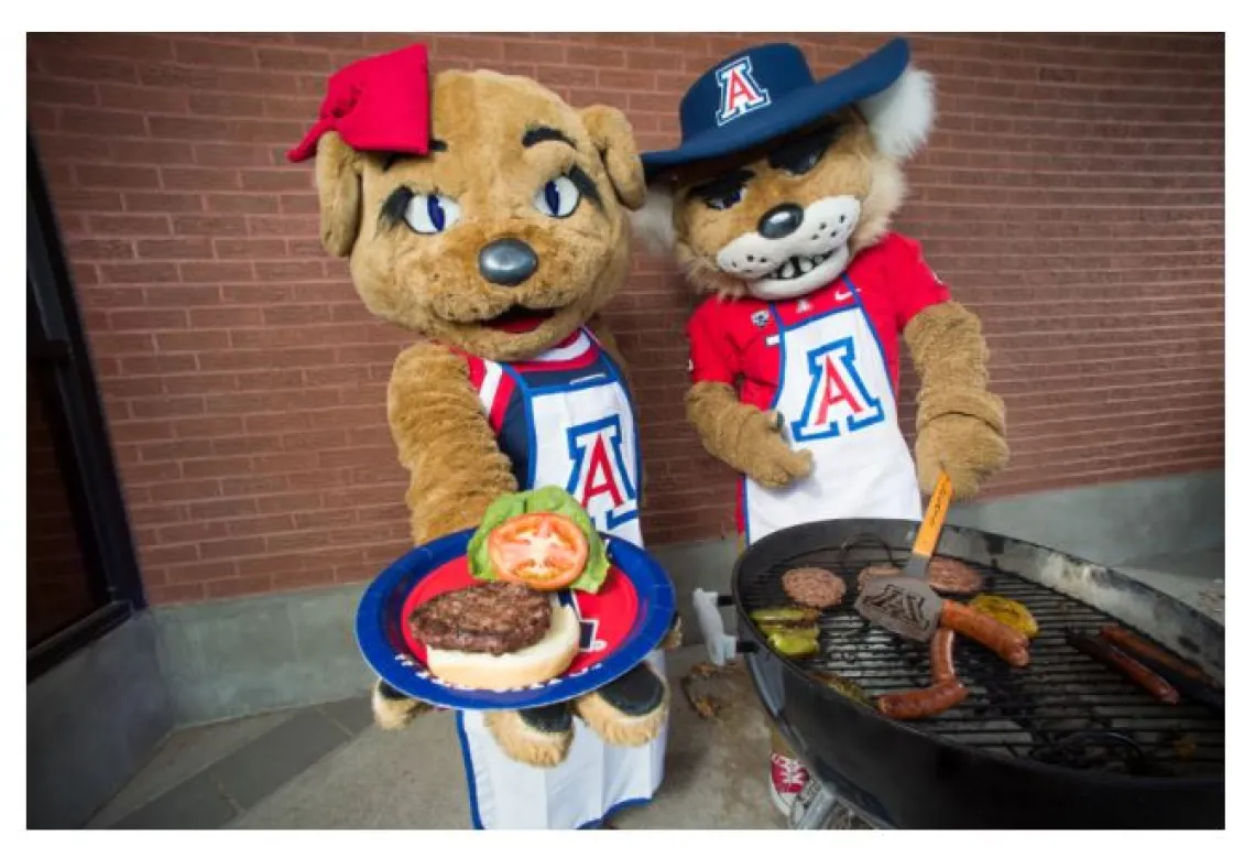 Off-campus housing photo featuring friendly Wildcat mascots